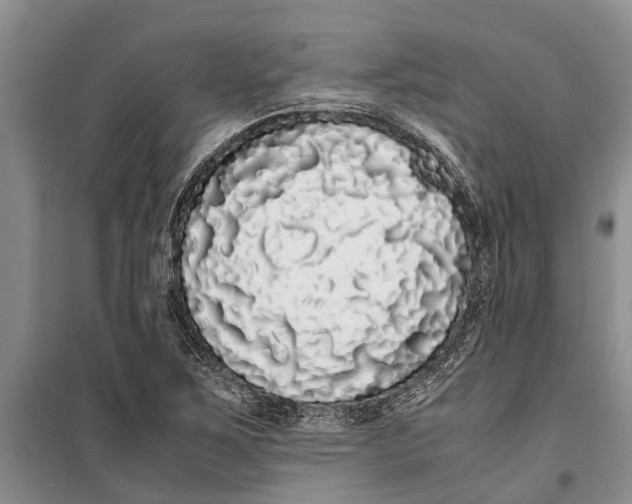 X0000099431267200805301421