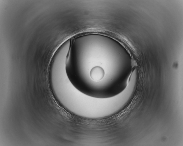 X0000099431268200805301421