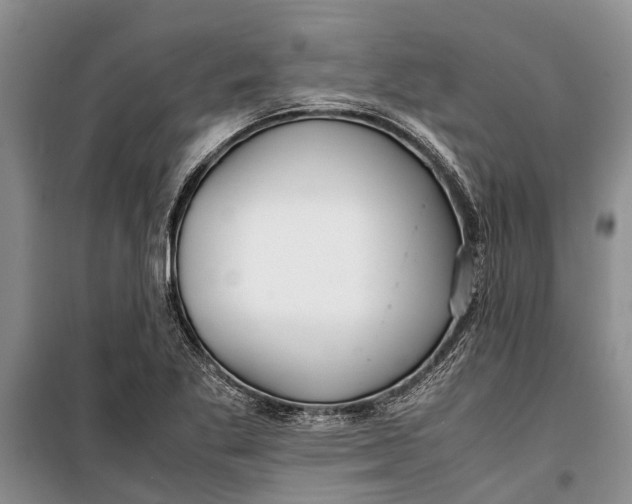 X0000099431269200805301421