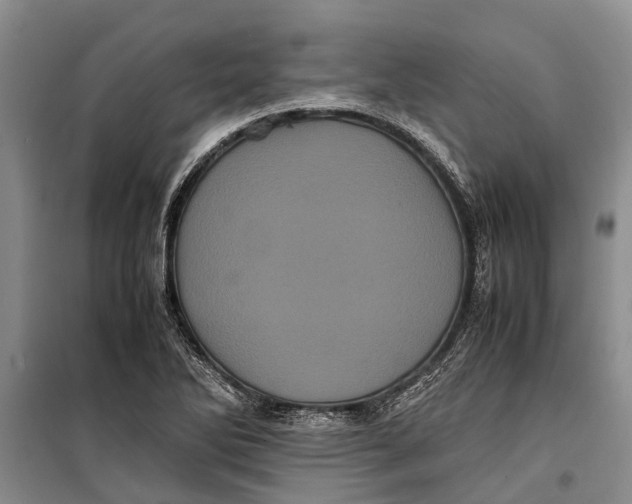 X0000099431270200805301421