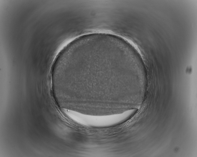 X0000099431271200805301421