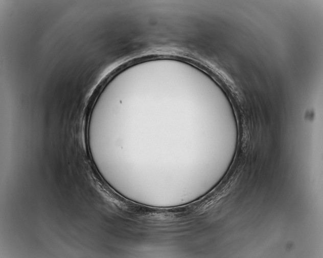 X0000099431272200805301421