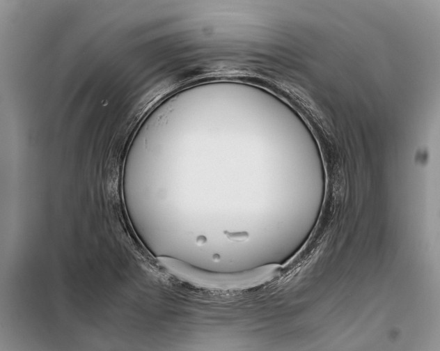 X0000099431273200805301421