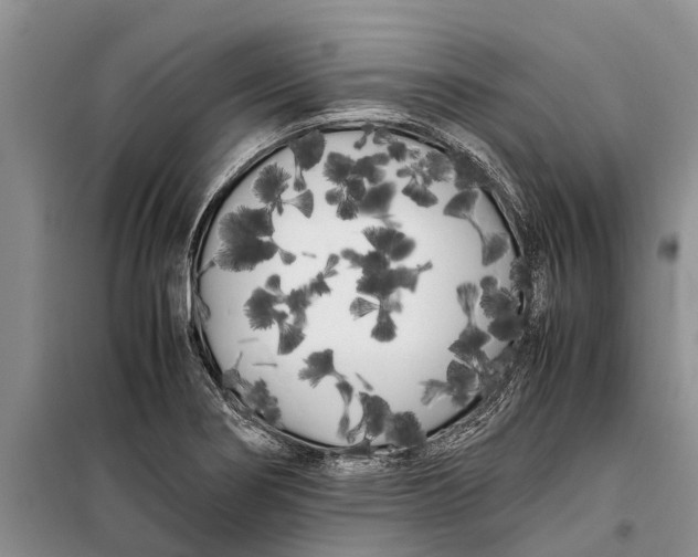 X0000099431274200805301421