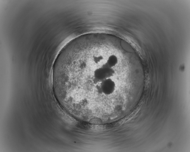 X0000099431275200805301421