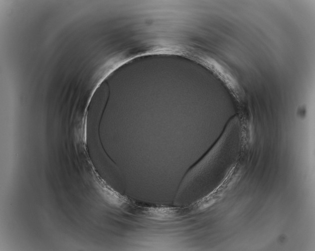 X0000099431276200805301421