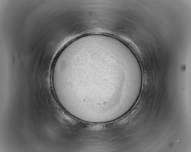 X0000099431278200805301421