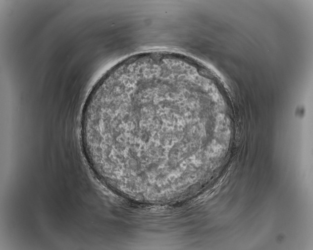 X0000099431279200805301421