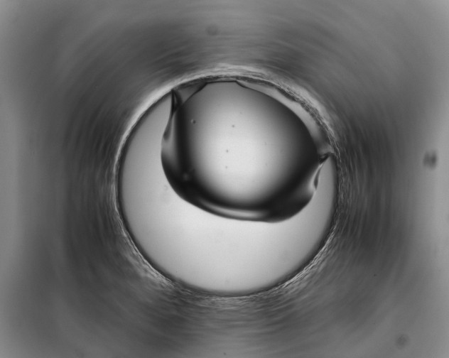 X0000099431280200805301421