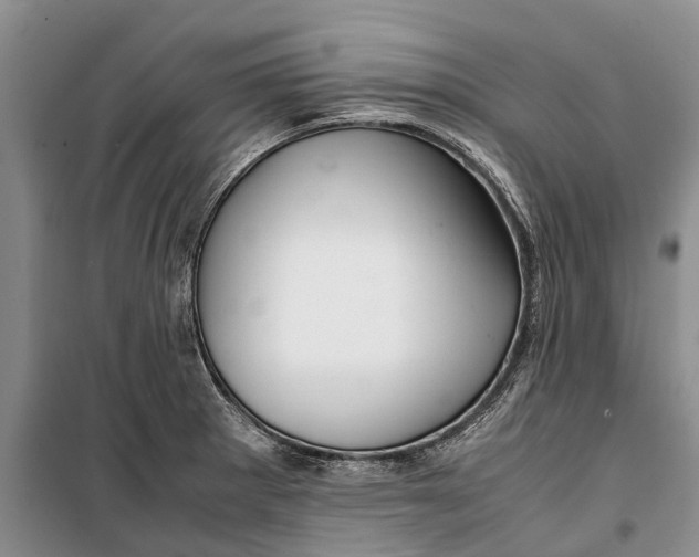 X0000099431281200805301421