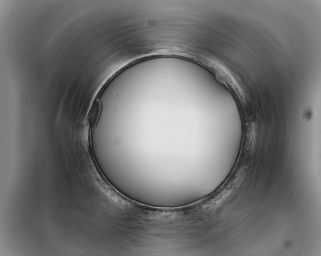 X0000099431284200805301421