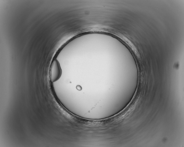 X0000099431285200805301421