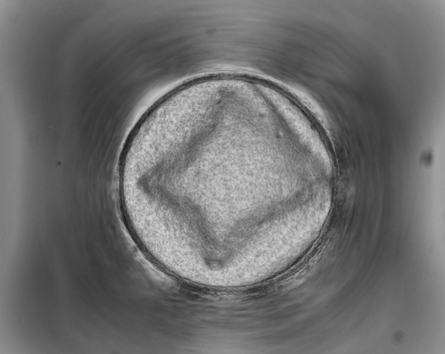 X0000099431287200805301421