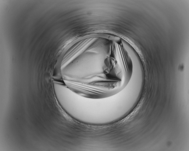 X0000099431289200805301421