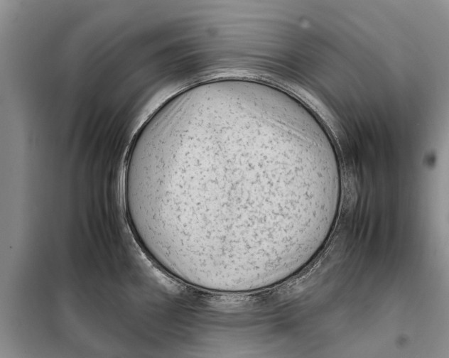 X0000099431290200805301421