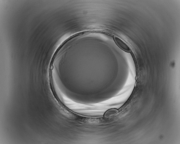 X0000099431291200805301421