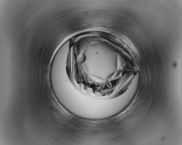 X0000099431292200805301421