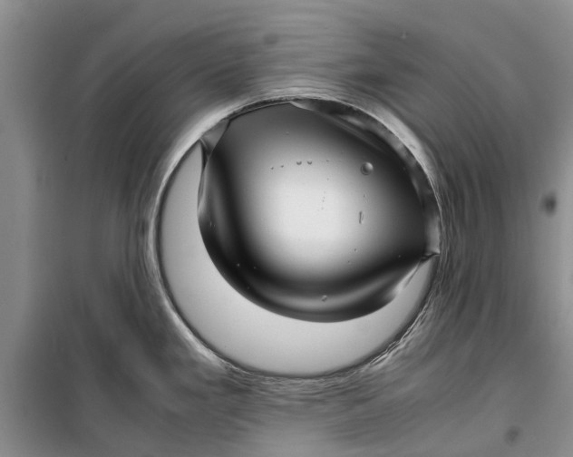 X0000099431293200805301421