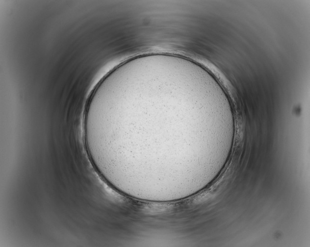 X0000099431294200805301421