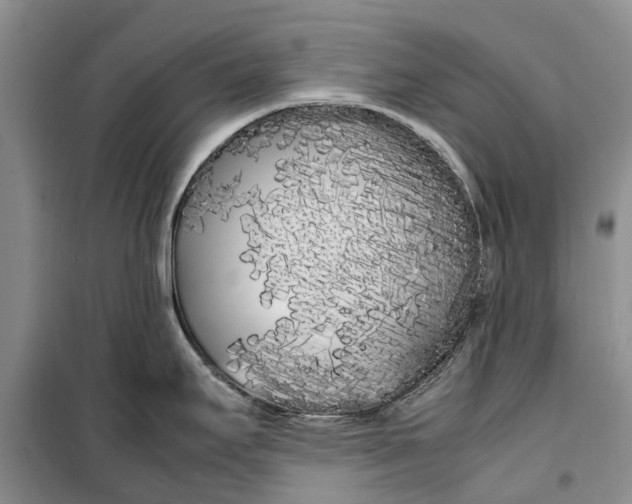 X0000099431295200805301421