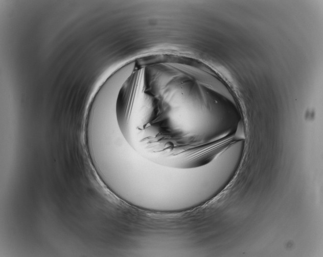 X0000099431296200805301421