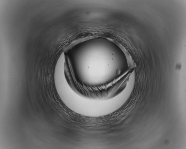 X0000099431298200805301420