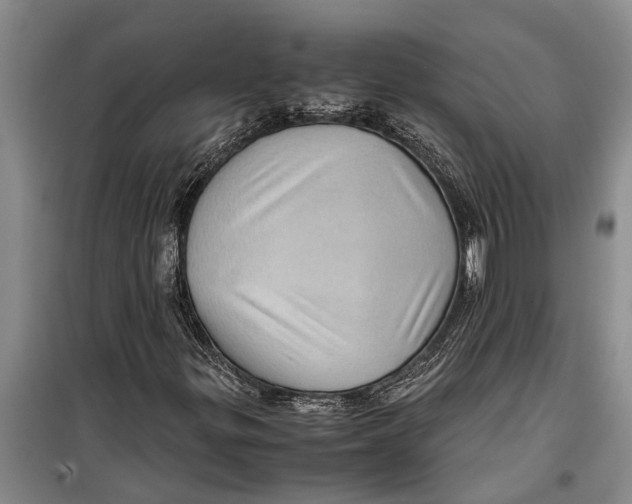 X0000099431299200805301420