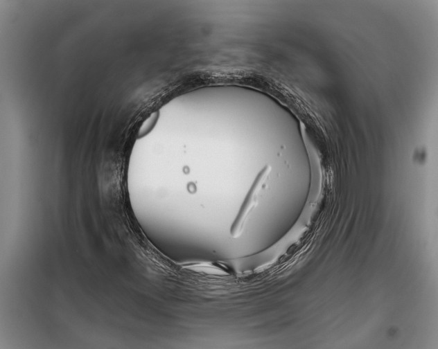 X0000099431300200805301420