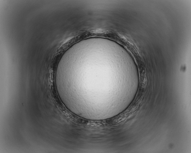 X0000099431301200805301420