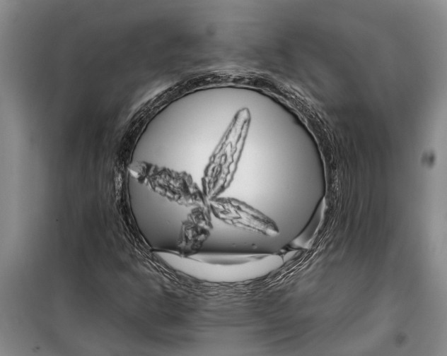 X0000099431302200805301420