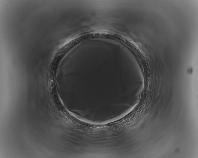 X0000099431303200805301420