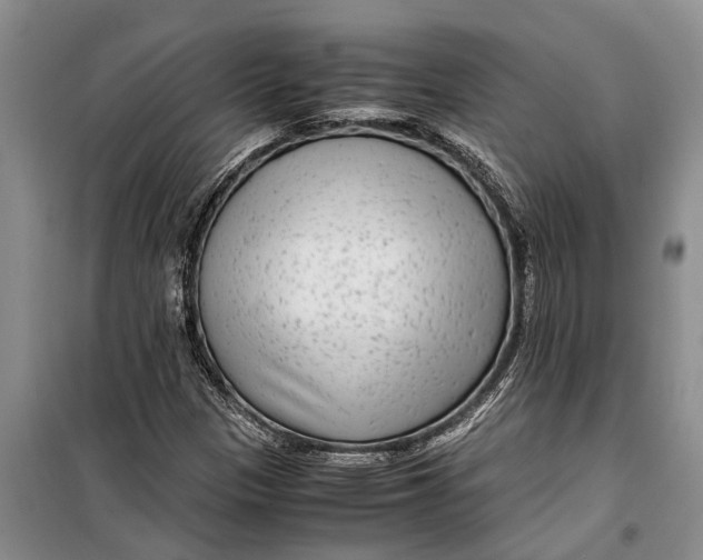 X0000099431305200805301420