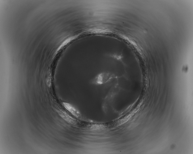 X0000099431306200805301420