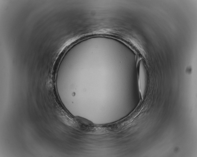 X0000099431308200805301420