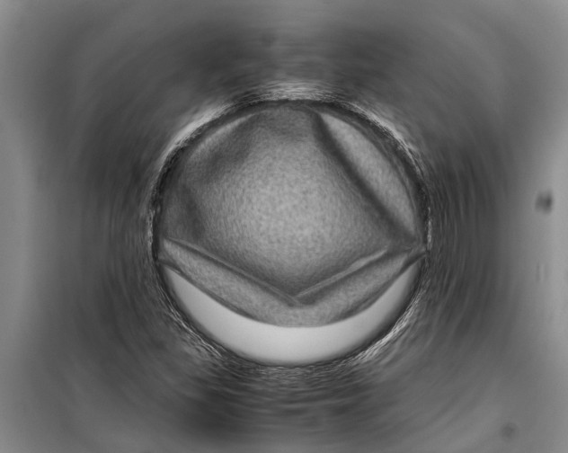 X0000099431309200805301420