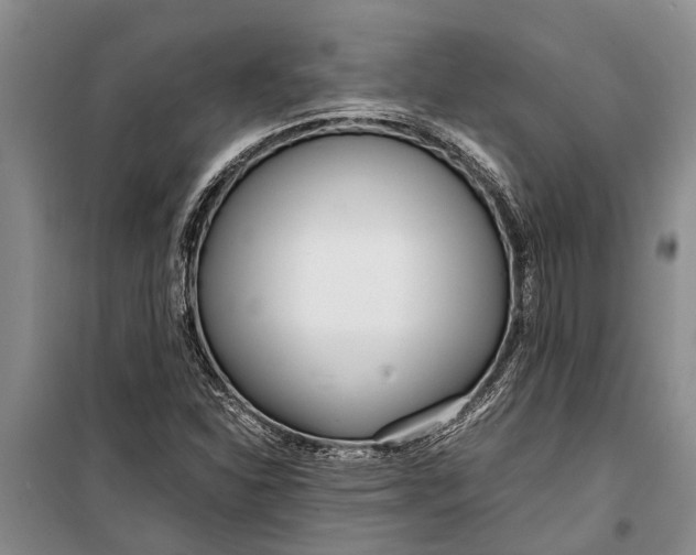 X0000099431310200805301420