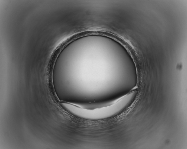 X0000099431311200805301420