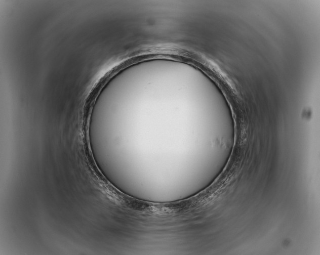 X0000099431312200805301420