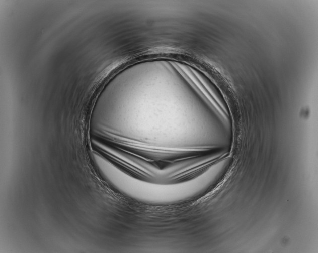 X0000099431313200805301420