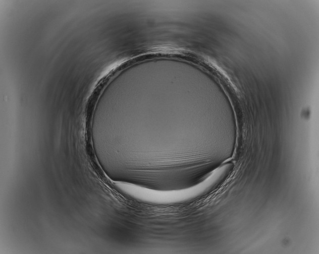 X0000099431315200805301420