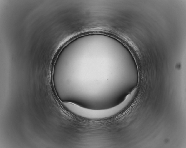 X0000099431316200805301420