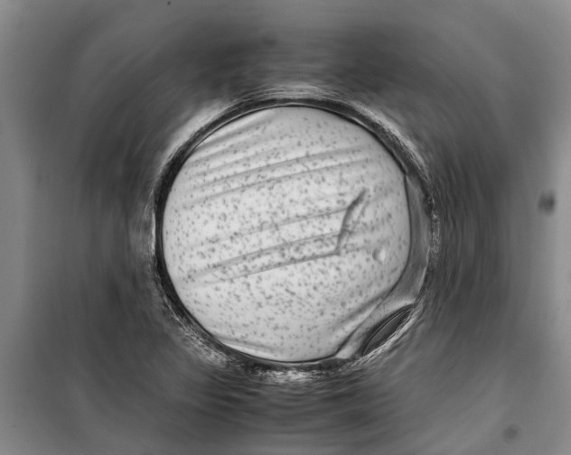 X0000099431317200805301420