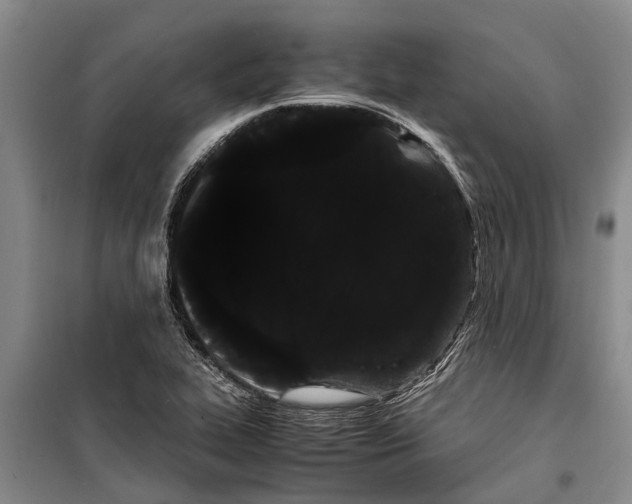 X0000099431319200805301420