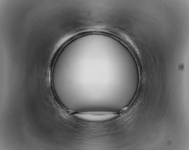 X0000099431320200805301420