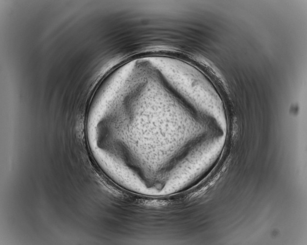 X0000099431321200805301420