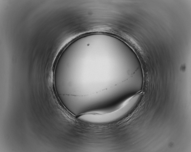 X0000099431324200805301420