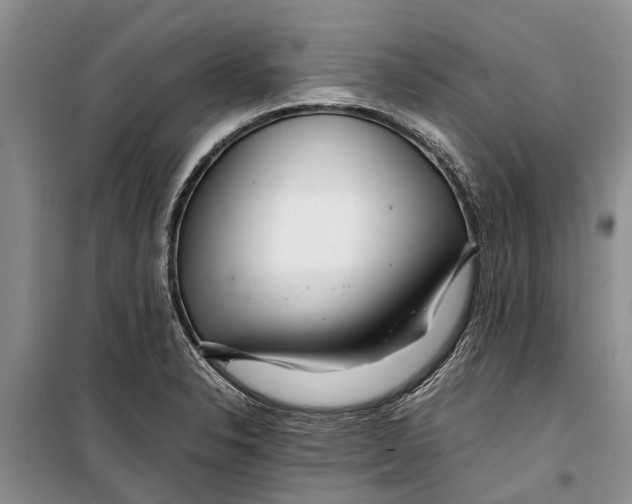 X0000099431326200805301420