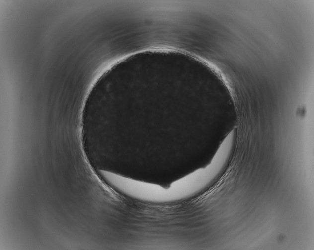 X0000099431327200805301420