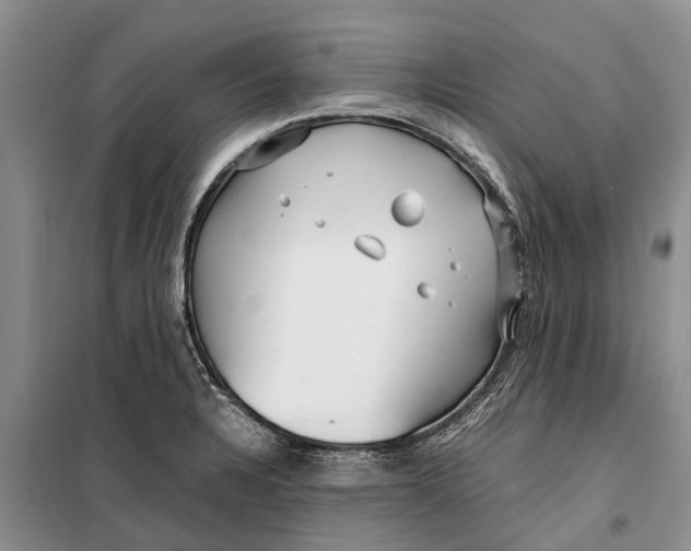 X0000099431328200805301420