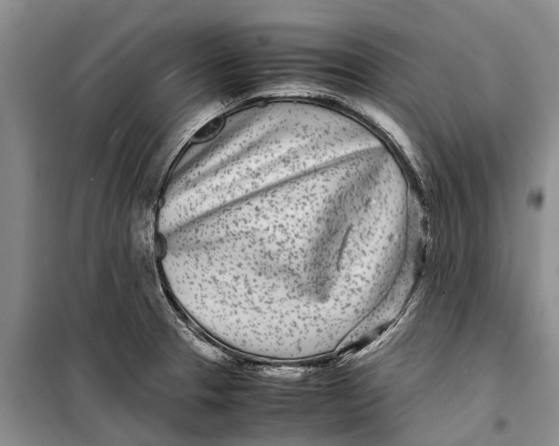 X0000099431329200805301420